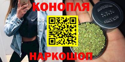 гидропоника Гусиноозёрск