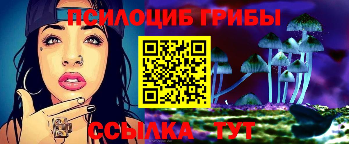 Псилоцибиновые грибы Cubensis  Вход с VPN  закладки  Мелеуз 