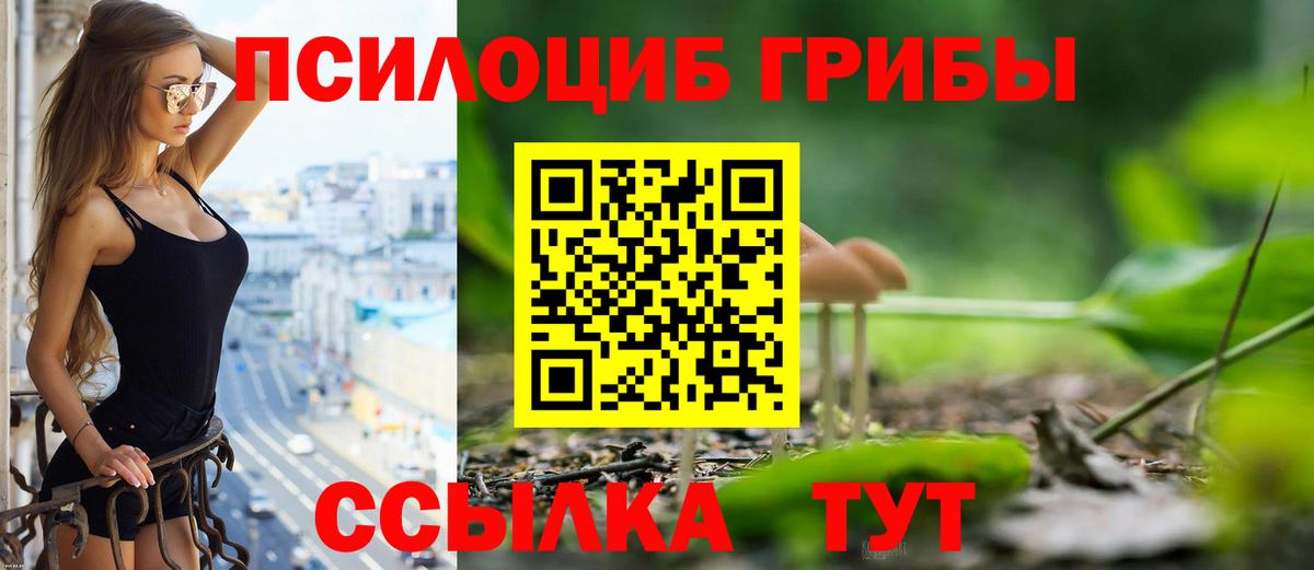 Галлюциногенные грибы Cubensis Мелеуз